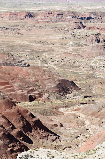 istock Painted Desert National Park 136756396