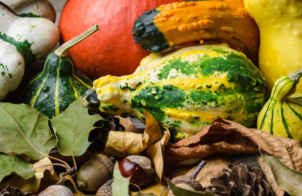istock Autumn still life with colorful pumpkins, fall foliage, acorns 1367564362
