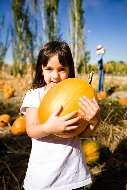 istock Little Girl in Pumpkin Patch 136756656