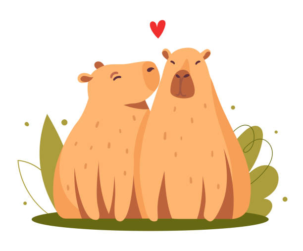 capybaras küssen, liebe illustration - wasserschwein stock-grafiken, -clipart, -cartoons und -symbole
