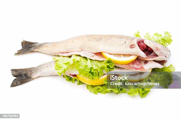 Truta Selvagem - Fotografias de stock e mais imagens de Alimentação Saudável - Alimentação Saudável, Anchova - Peixe de água salgada, Ao Ar Livre