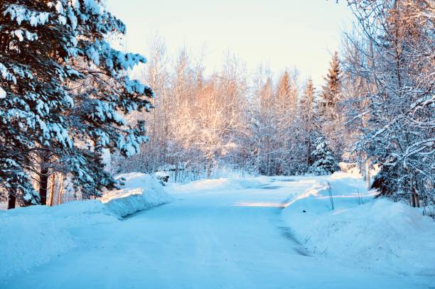 paesaggio dell'alaska - fairbanks foto e immagini stock