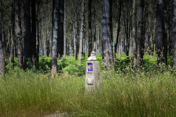 Summer trip along the Way of St. James (Camino de Santiago).
