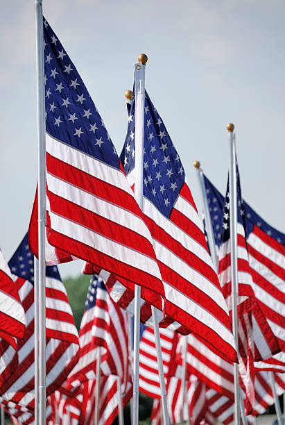 American Flags on Memorial Day  at a Cemetery
