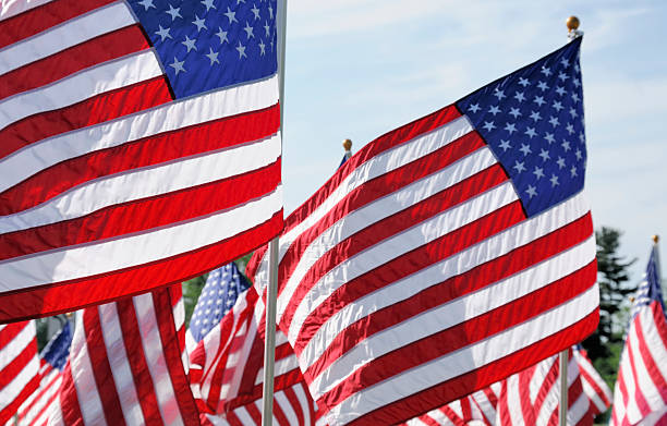 istock American Flags on Memorial Day  at a Cemetery 136757243