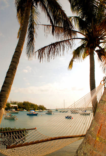 bermudy - atlantského oceánu fotky - stock snímky, obrázky a fotky