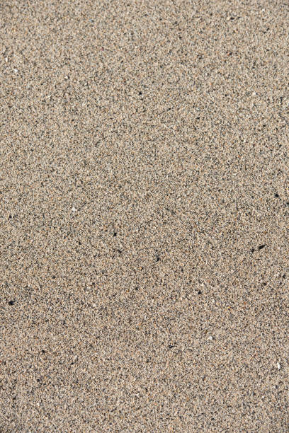 istock Close-up of sand grains 1367575047