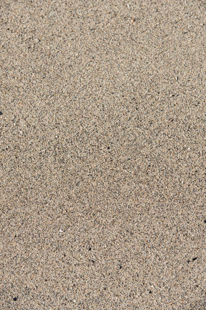 istock Close-up of sand grains 1367575100