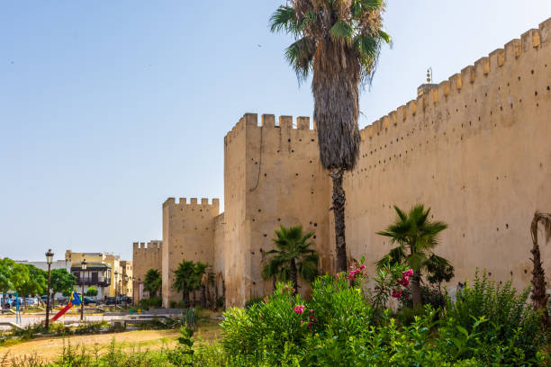 istock Ancient imperial city of Meknes, Morocco 1367575421