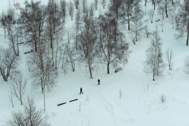 istock Aerial view of the park 1367577097