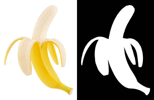 Half peeled banana isolated on white background. Ripe open banana with with clipping mask (alpha channel) for quick isolation.