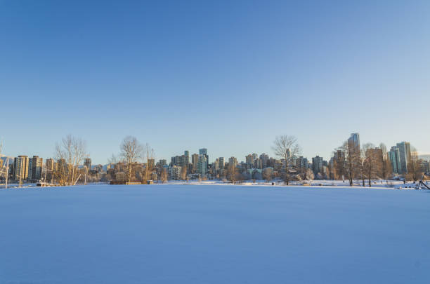 istock Landscape in Vancouver in Snow 1367578590