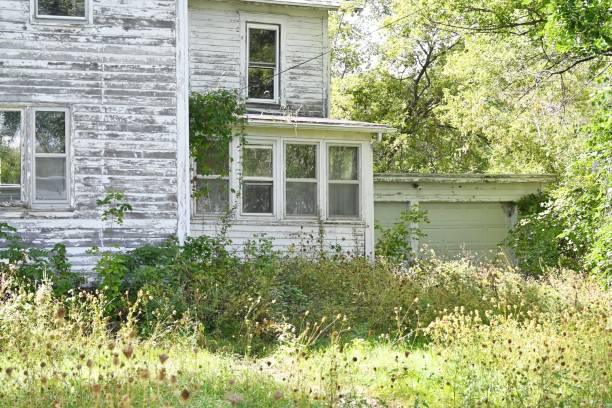 istock Abandoned Farmhouse 1367578645