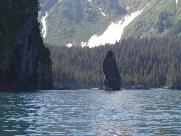 istock Seward Alaska shoreline 1367579461