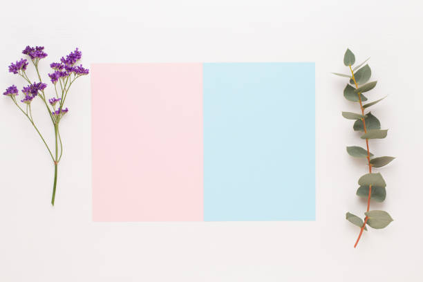 istock Flowers composition. Paper blank, carnation flowers, eucalyptus branches on pastel  background. Flat lay, top view, copy spaceFlat lay stiil life. 1367580367