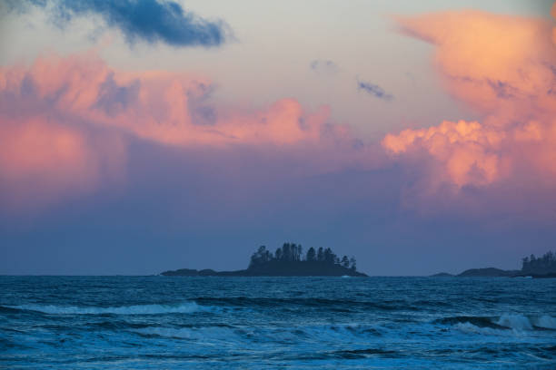 istock Long Beach Tofino Vancouver Island. 1367580378