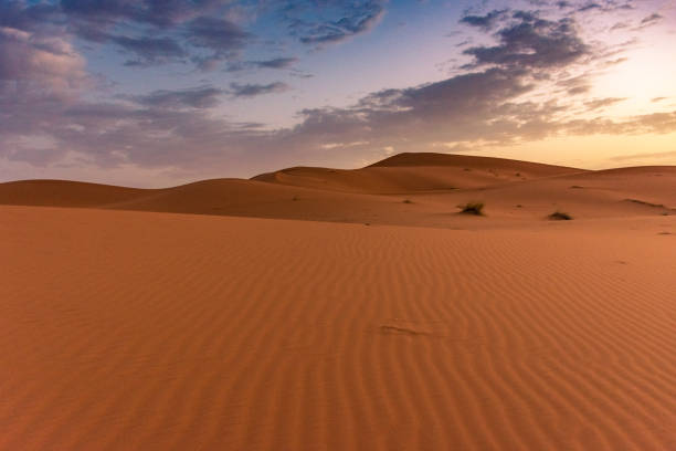 istock Sahara Desert in Merzouga, Morocco 1367581164