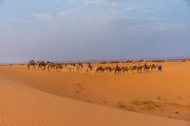 istock Sahara Desert in Merzouga, Morocco 1367581187