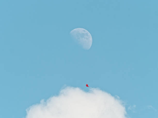 Flying red kite with blue sky and half moon background, focused on the kite.