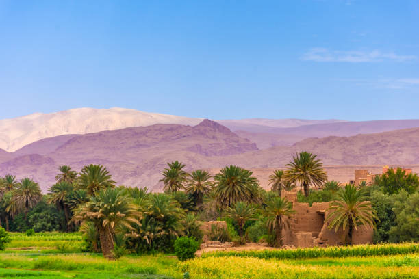 istock The One Thousands Kasbahs Valley of Morocco 1367583897
