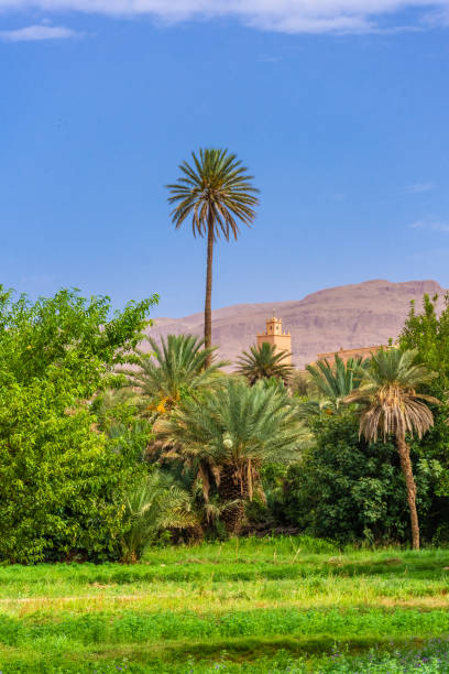istock The One Thousands Kasbahs Valley of Morocco 1367585275