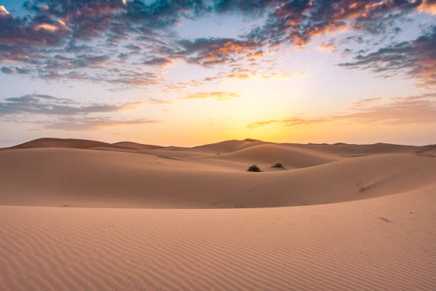 istock Sahara Desert in Merzouga, Morocco 1367585290