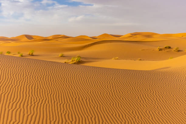 istock Sahara Desert landscape in the Erg Chebbi, Morocco 1367586973
