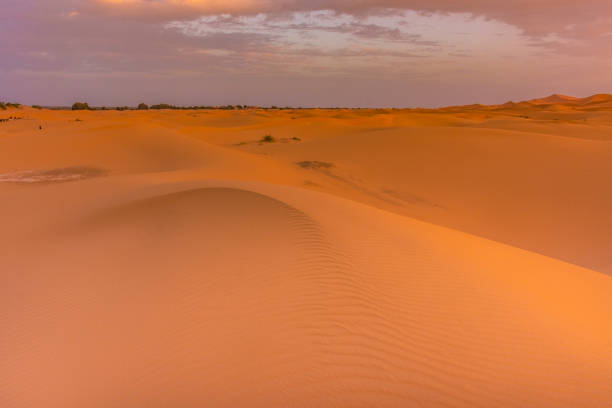 istock Sunrise in the Sahara Desert, Morocco 1367587041