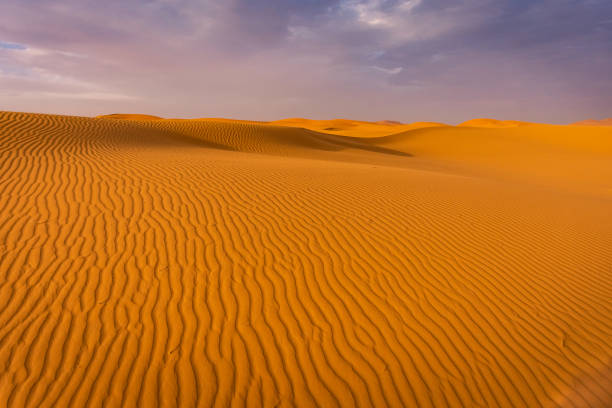 istock Sahara Desert landscape in the Erg Chebbi, Morocco 1367587127