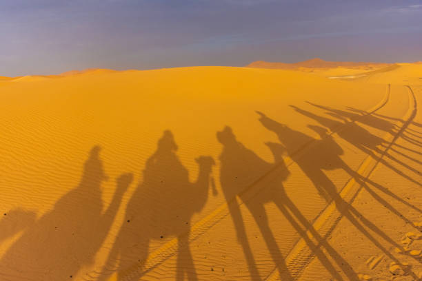 istock Sahara Desert landscape in the Erg Chebbi, Morocco 1367587342