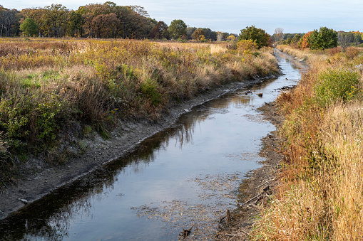 A stream of water running along a field during fall.