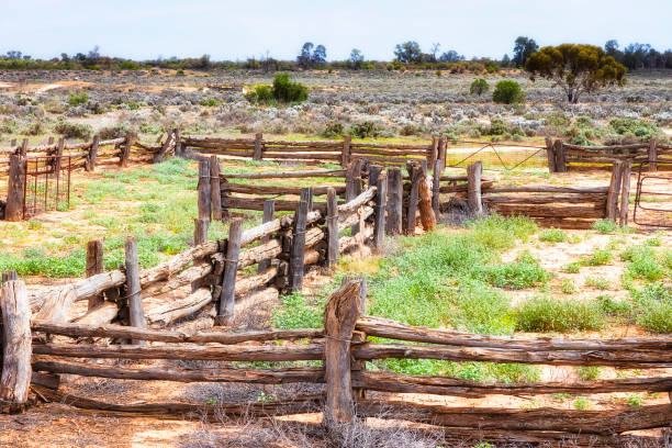 istock Mugno Yard Woods to plains 1367592937