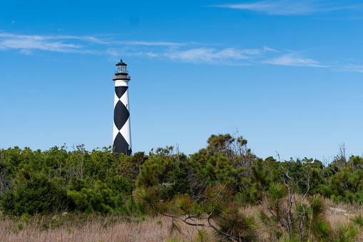 The black and white diamonds of the Cape Lookout lighthouse rise above the trees in the Outer Banks of North Carolina; landscape