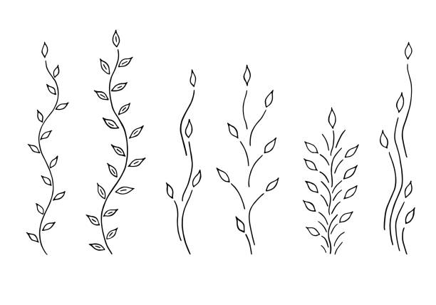 Web Floral elements stems, leaves, vines isolated on white background. Stylized beautiful plants for logo, eco design, organic decor and other use. Vector set. fruit of islam stock illustrations