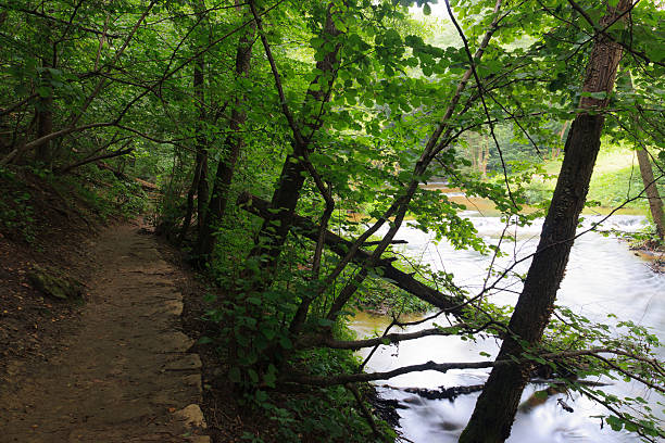 istock Walking trail along the river Tanew in Rebizanty. 136760020