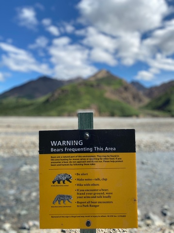 A sign at the Toklat River in Denali National Park warns visitors of bear activity in the area.