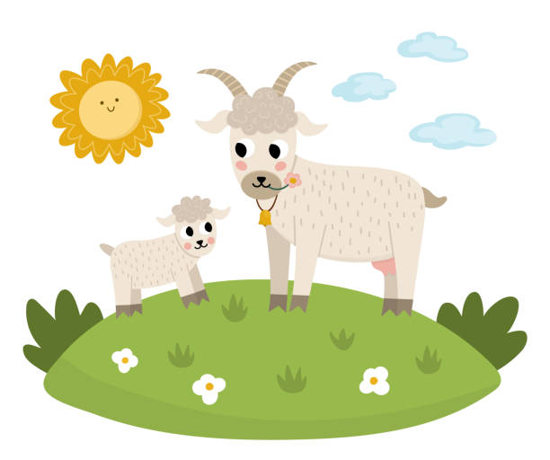 Vector Goat With Baby On A Lawn Under The Sun Cute Cartoon Family Scene  Illustration For Kids Farm Animals On Natural Background Colorful Flat  Mother And Baby Picture For Children Stock Illustration -