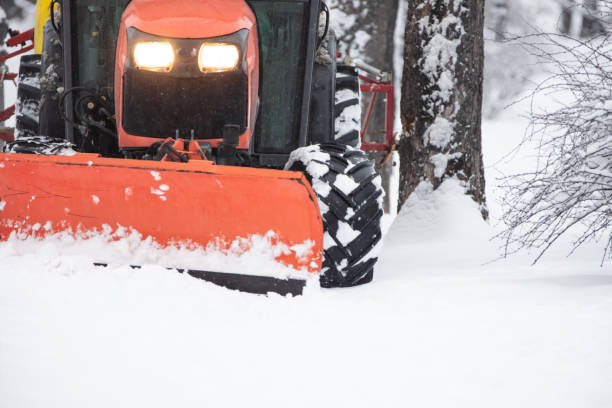 istock Tractor cleaning urban park paths on a cold snowy day. 1367625905