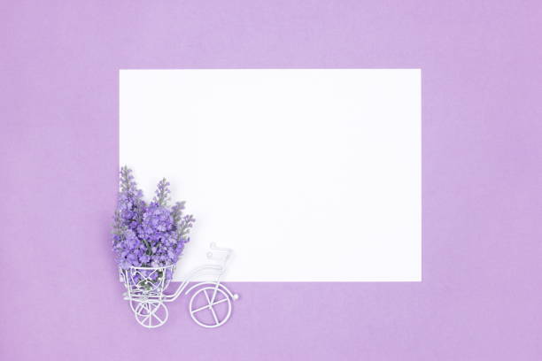 kleines spielzeugfahrrad mit lila blumenstrauß im korb und leerem weißem papier. frühlingsromantische blumen-minimalkomposition mit kopierraum - 2277 stock-fotos und bilder