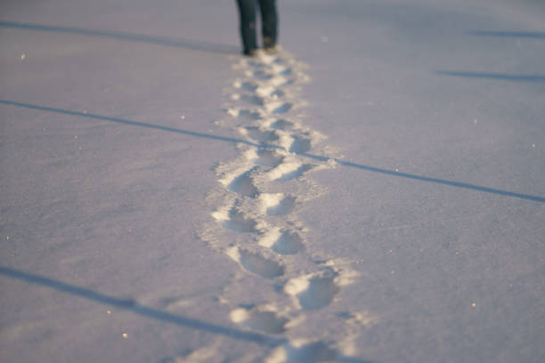 человеческая нога ступает по снегу в солнечный день. - snow track human foot steps стоковые фото и изображения