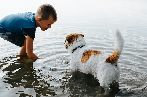 Caucasian little boy playing in water with cute pet jack russell terrier outdoors. People and animals. Selective focus on dog.