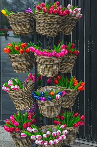 Fantastic colorful bouquets of wooden tulips in the basket on the stand. Dutch souvenir shop with decorative objects near Amsterdam, Netherlands, Europe