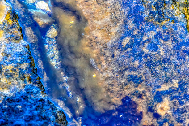 istock Sea rocks relief made by natural forces. 1367635979