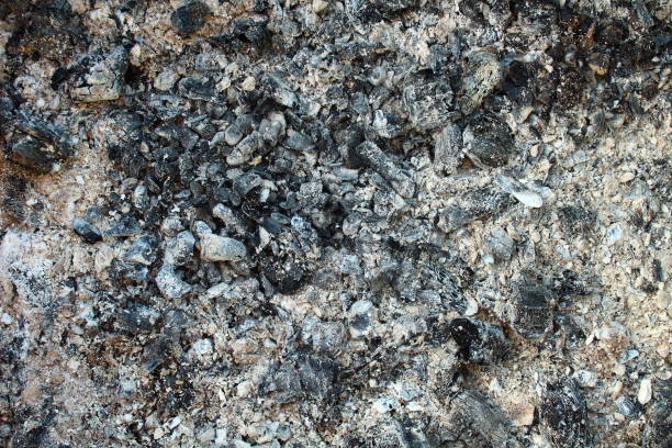 istock Natural charcoal. Close-up. Background. Texture. 1367637323