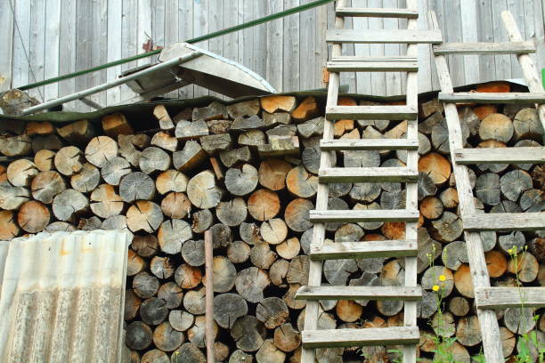 Yard in the village. Rustic background. Close-up.