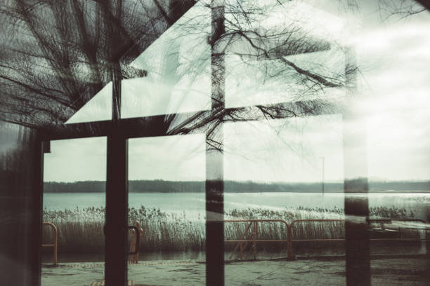 istock Trees reflection in window of modern building. Lake. 1367638354