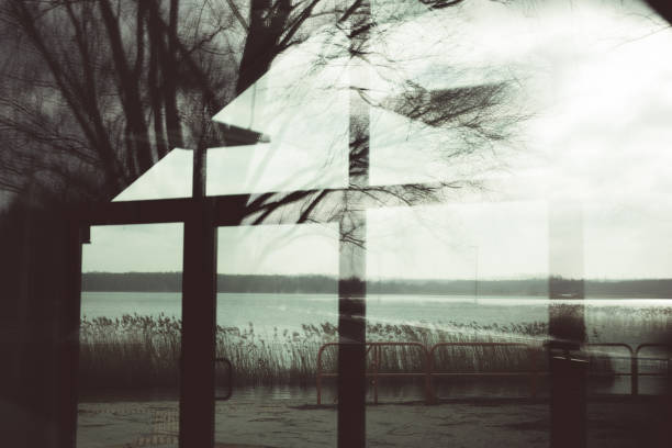 istock Trees reflection in window of modern building. Lake. 1367638765
