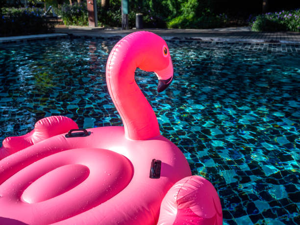 istock Empty seating space on the pink inflatable ring, flamingo in the swimming pool with copy space. Flamingo swim ring for summer vacation. 1367639450