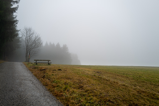 An old bench stands on a hill shrouded in fog and invites you to rest.