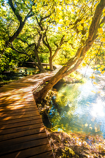 Wooden pathway in national park Krka, Croatia